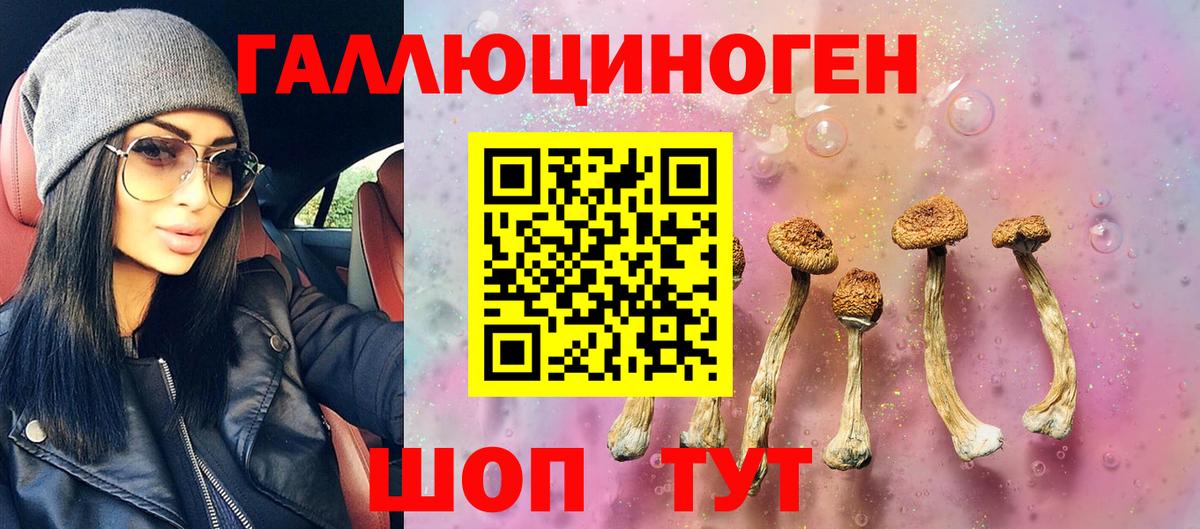 Щёлково  Галлюциногенные грибы GOLDEN TEACHER  Вход с VPN 