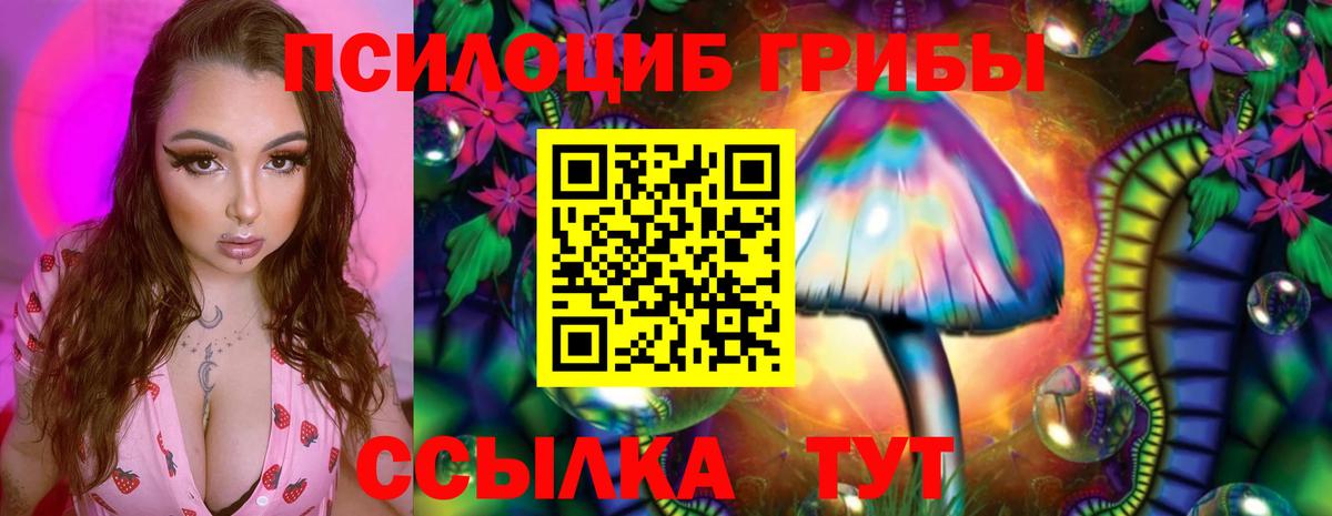 Псилоцибиновые грибы мухоморы Щёлково
